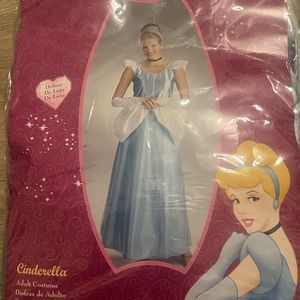 Adult Cinderella Costume